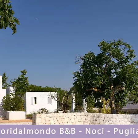 Fuori Dal Mondo