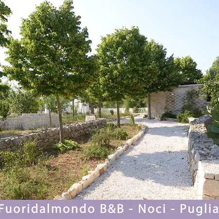 Fuori Dal Mondo Noci